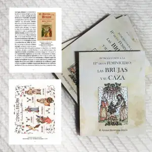 Las brujas y su caza · Libro