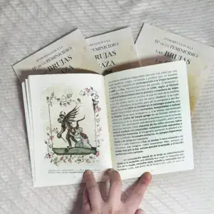Las brujas y su caza · Libro abierto