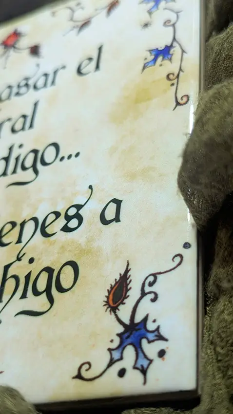 Detalle de las flores de acebo y los ojos del azulejo
