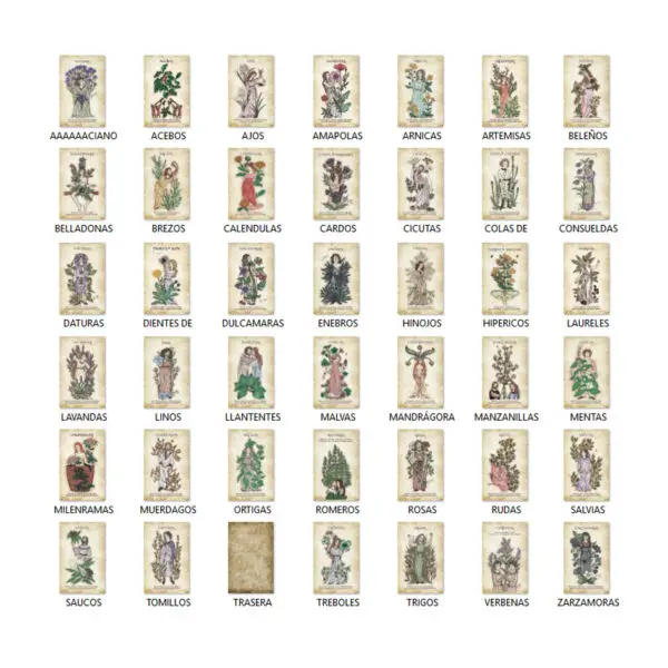 Las 41 cartas ilustradas del Oráculo de Plantas de Amaya Barahona y el reverso de la baraja